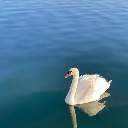 Appartement La Casa Di Vale *